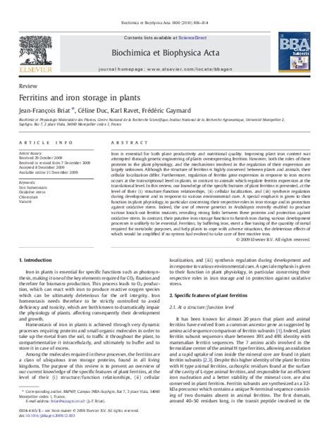 celine duc|(PDF) Ferritins and iron storage in plants .